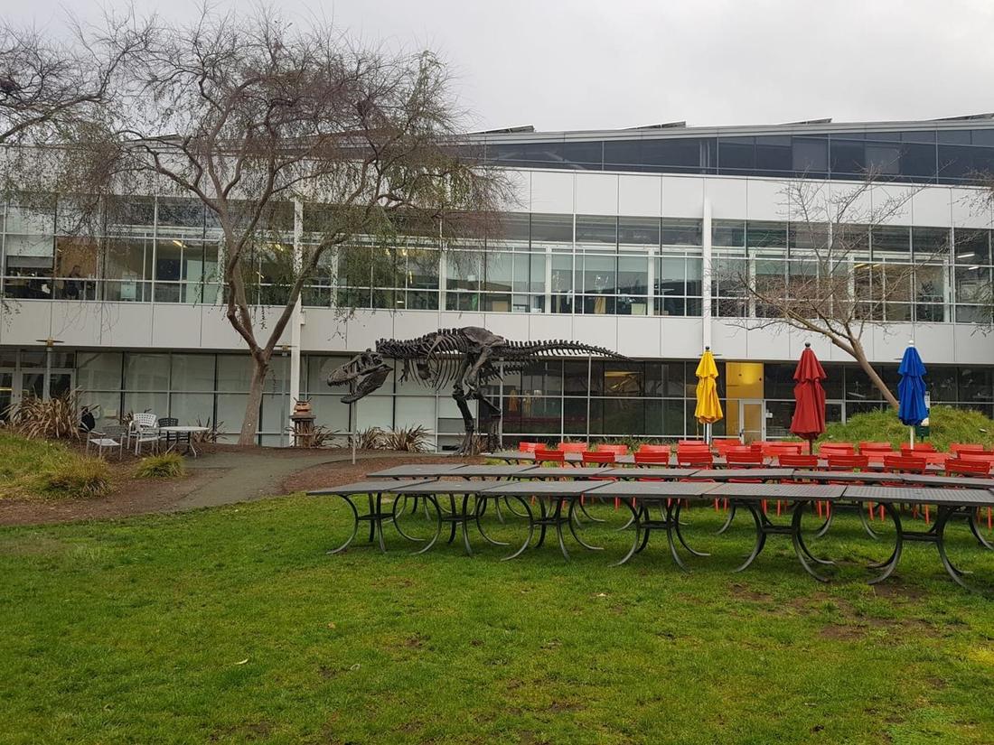 Googleplex, Mountain View — 5 of 6